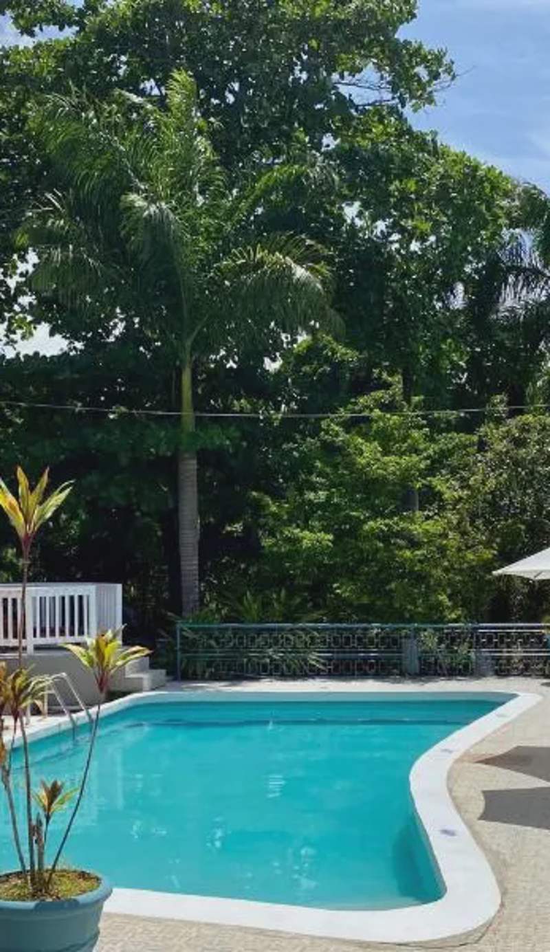 The Blue Orchid B&B