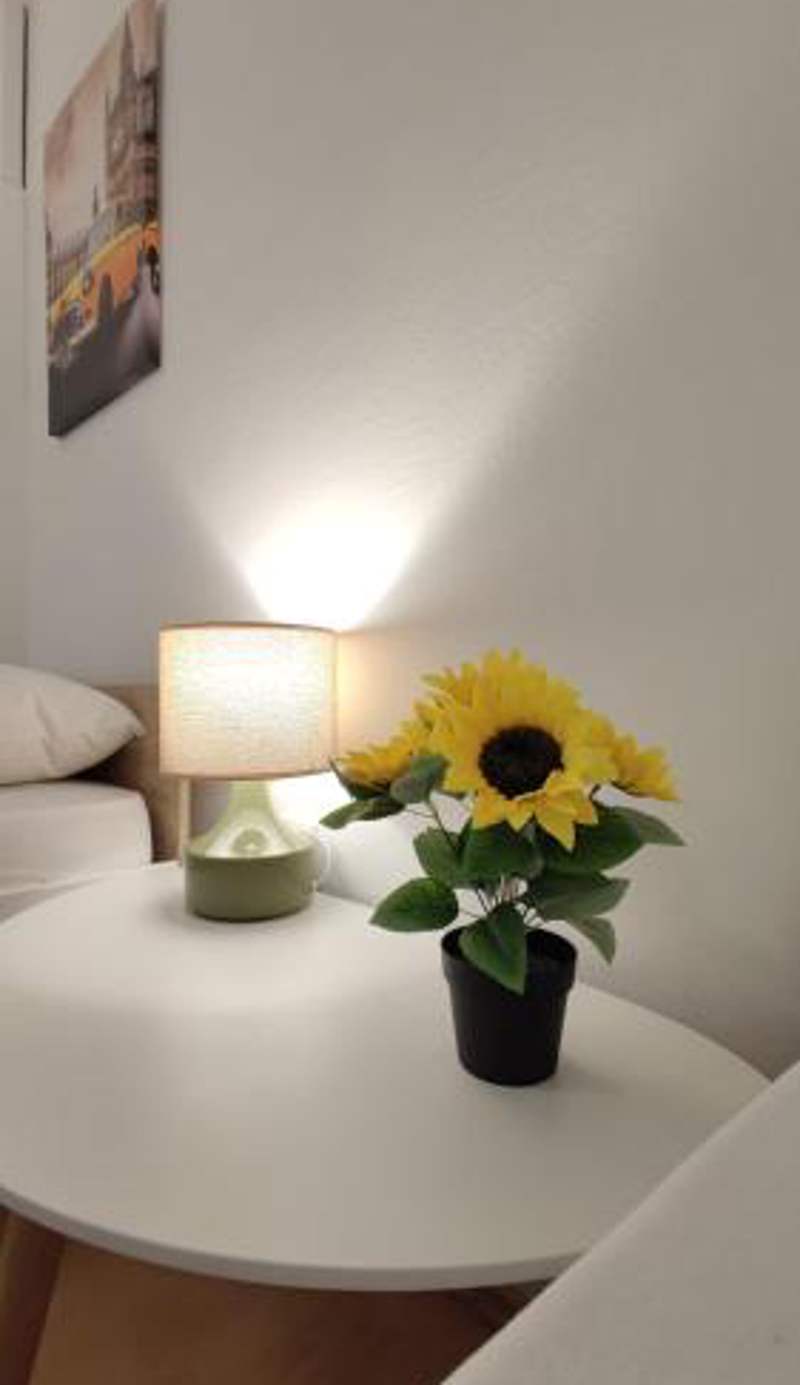Apartmani Tarik