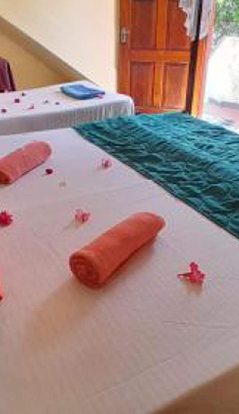 NEW SEA LION Guest House