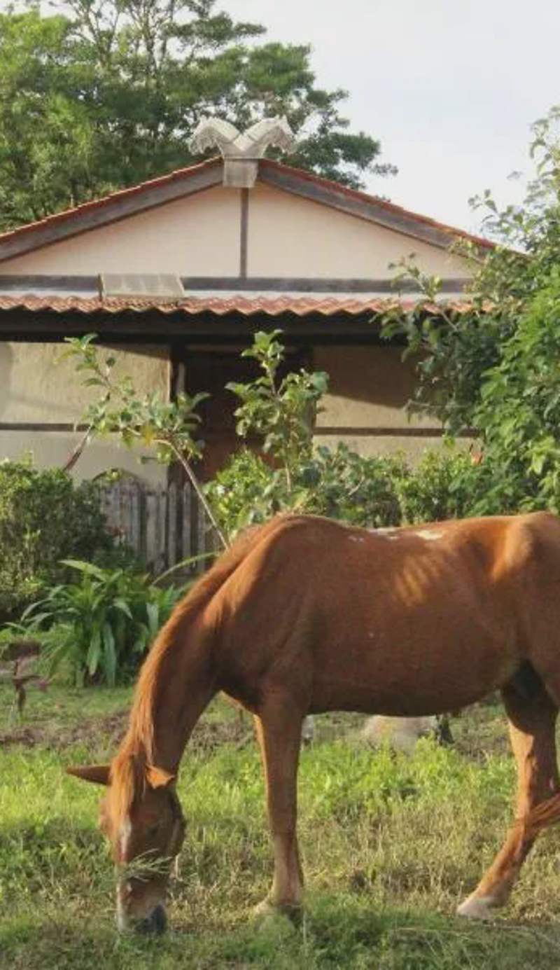 Finca Lindos Ojos