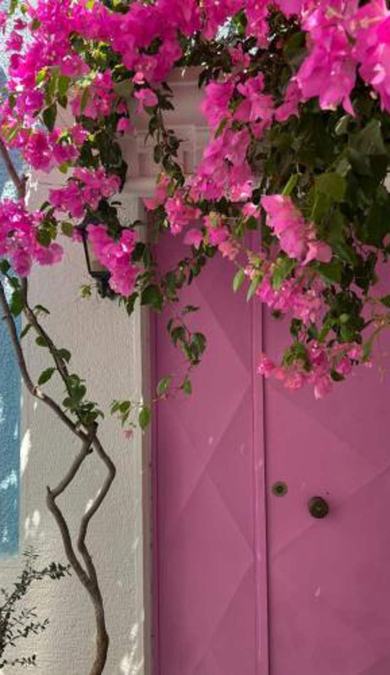 Casa Magnolia Boutique Rooms