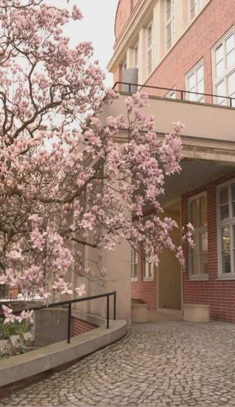 Rooms in Historic Heart of Wroclaw