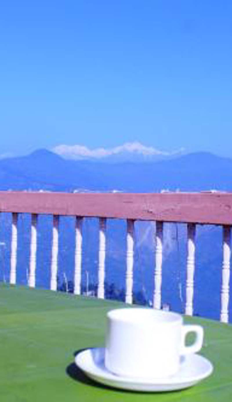 Hotel Paradiso