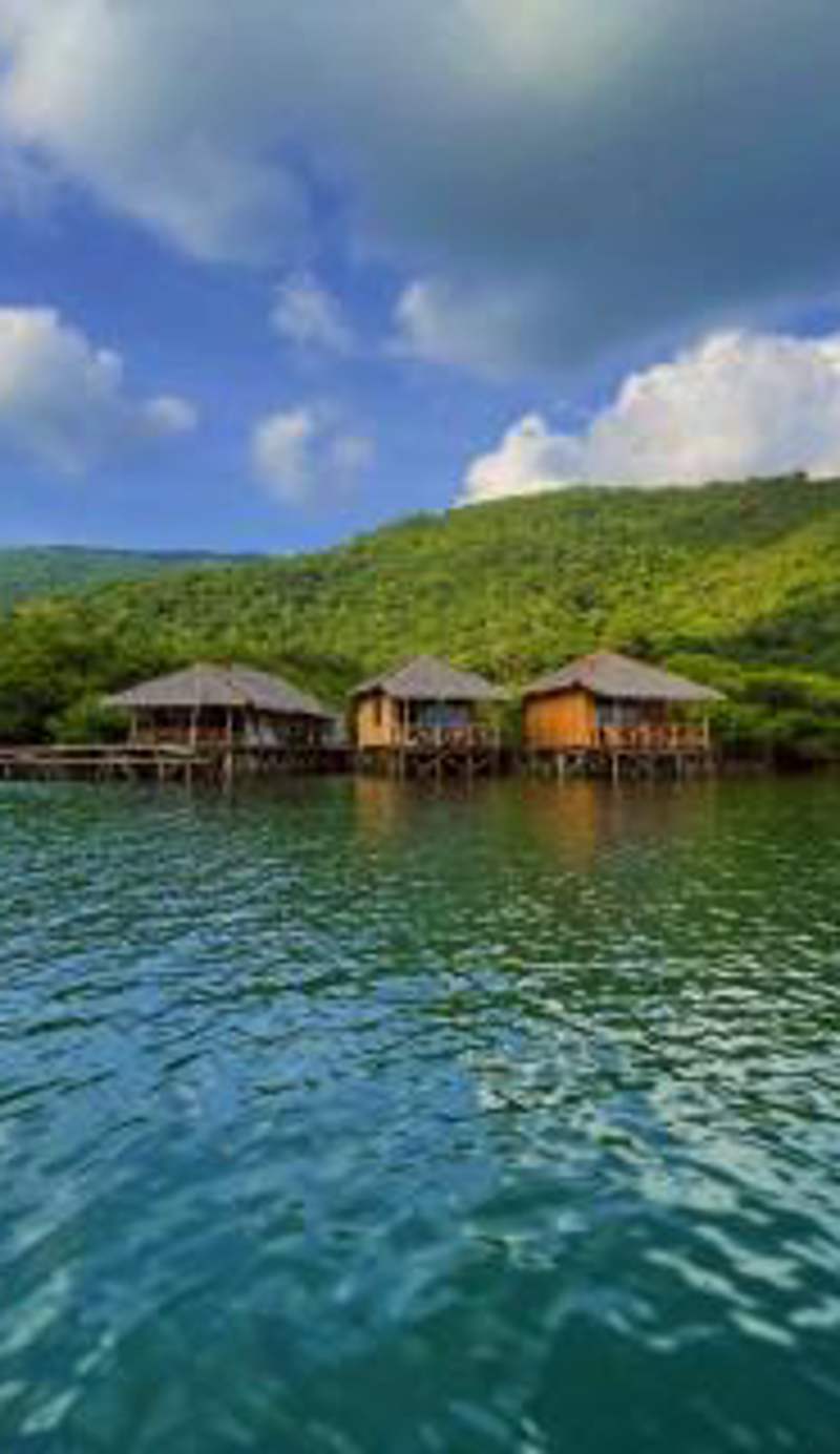 Floating Paradise