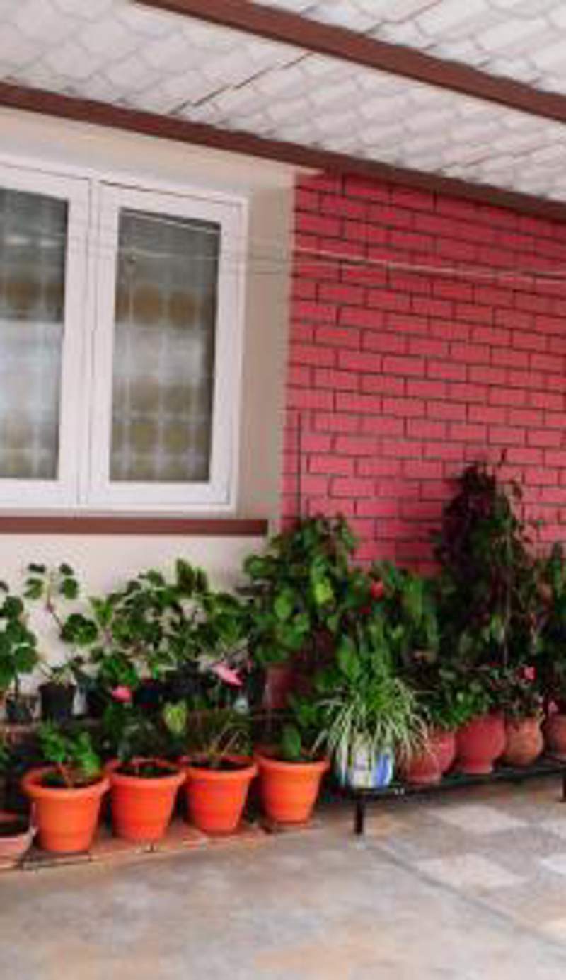 Park corner Home stay