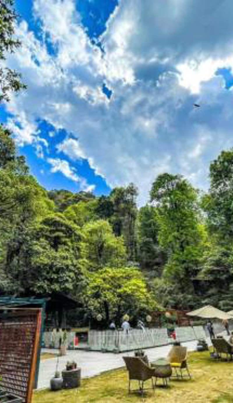 Ayar Jungle Resort