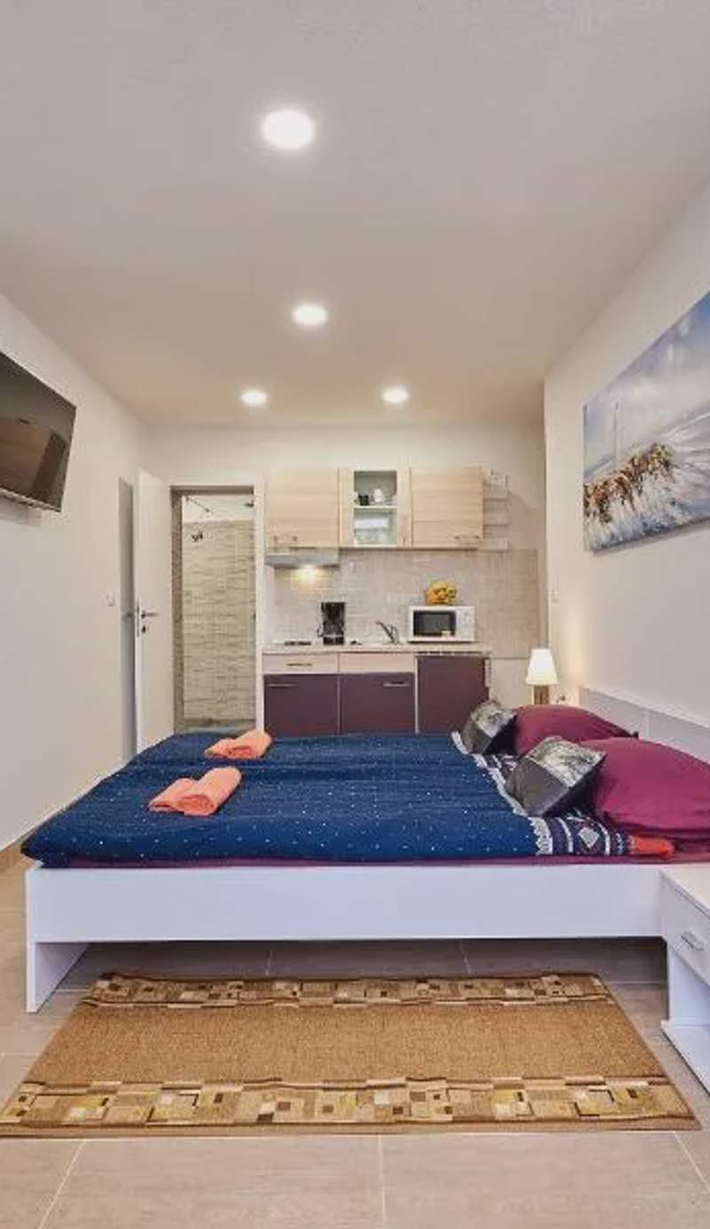Studio apartment Bašćan