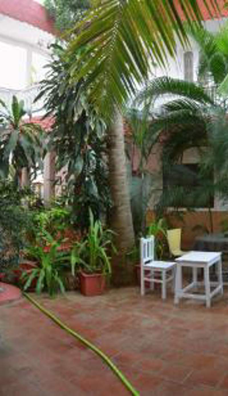 Daphne Hotel