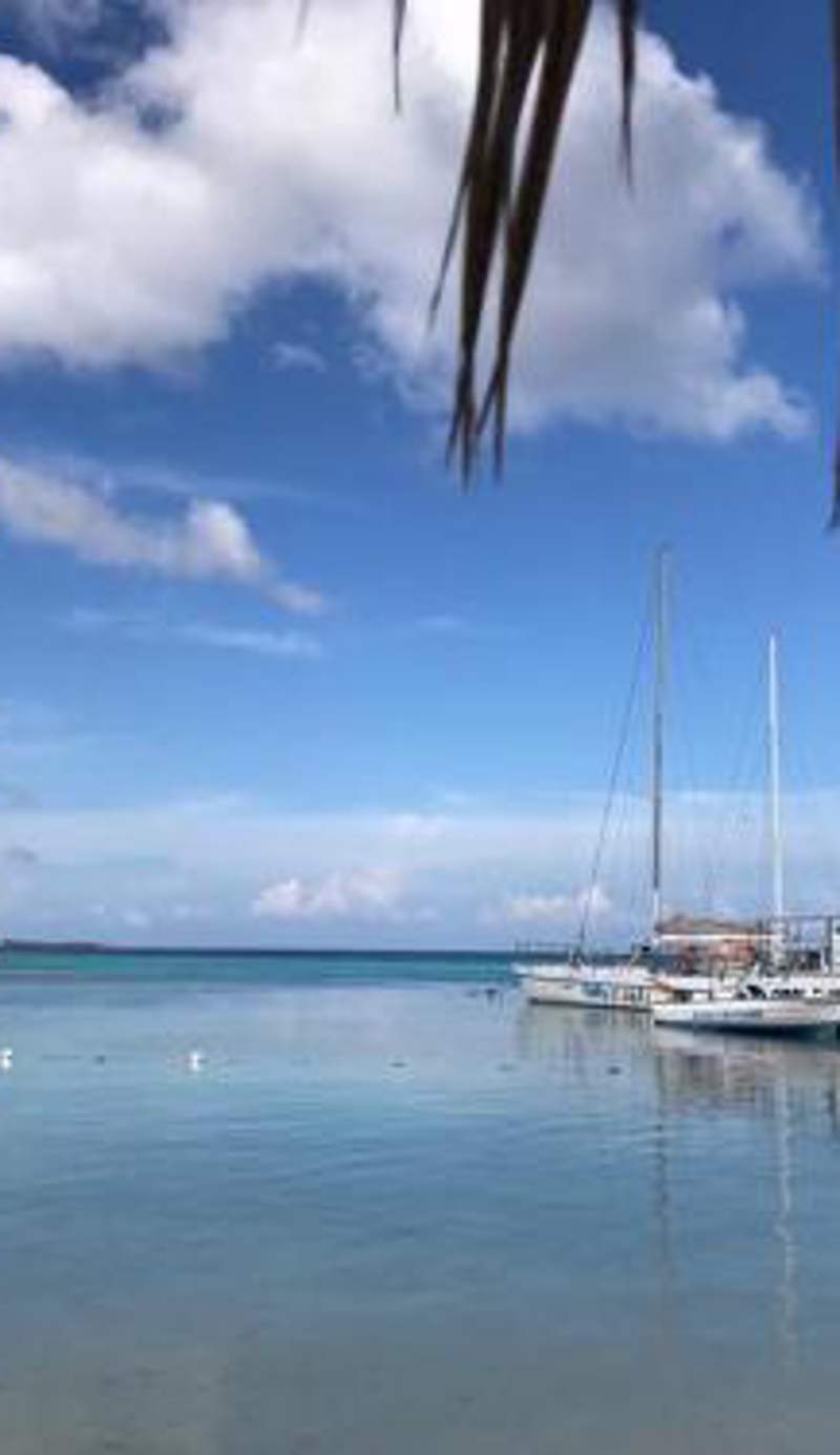Contemporary Ocean view 2bed Carib Ocho Rios Condo