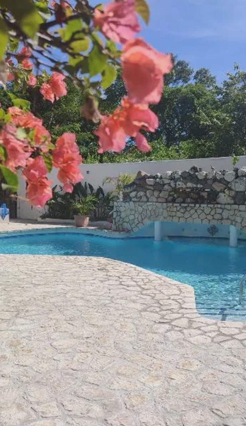 Ltu Garden