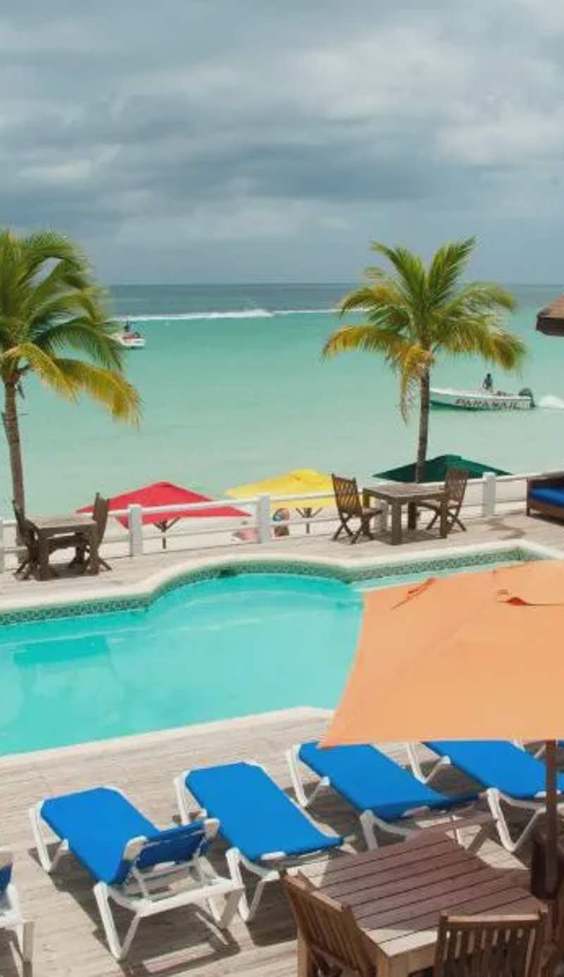 Negril Palms