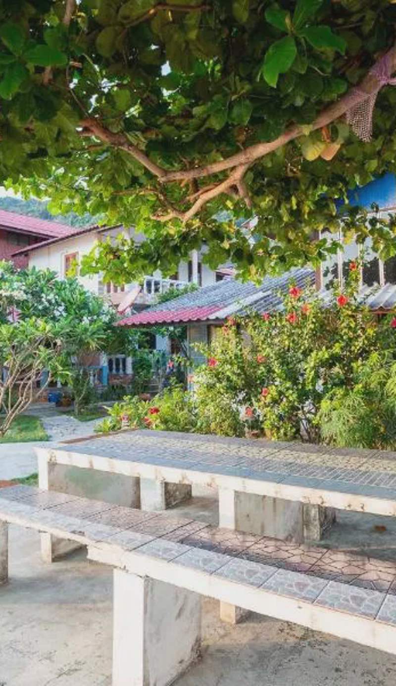 Laid Back Resort