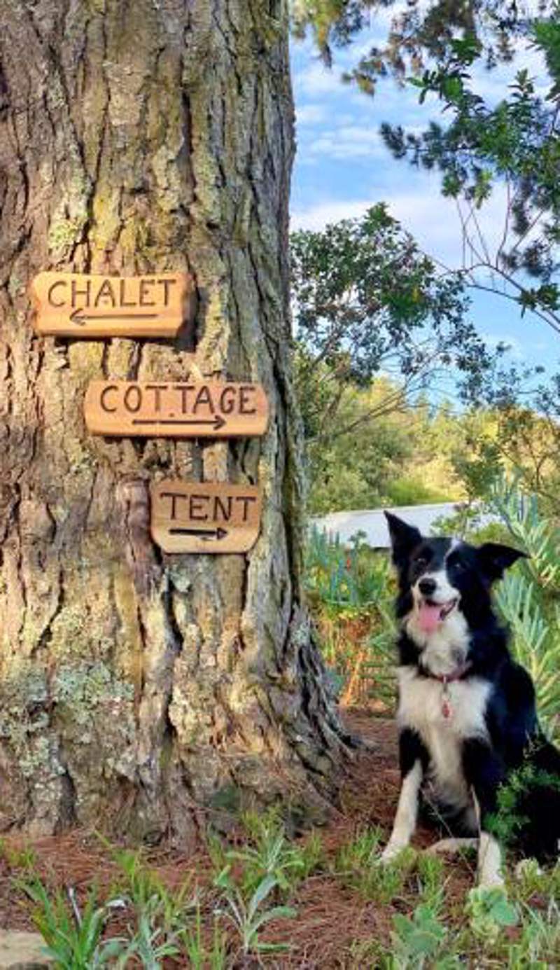 Eagles' Call Cottages and Tent