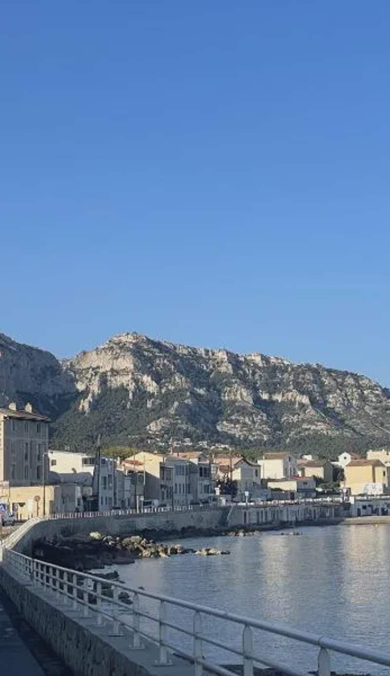 Balaena hébergement