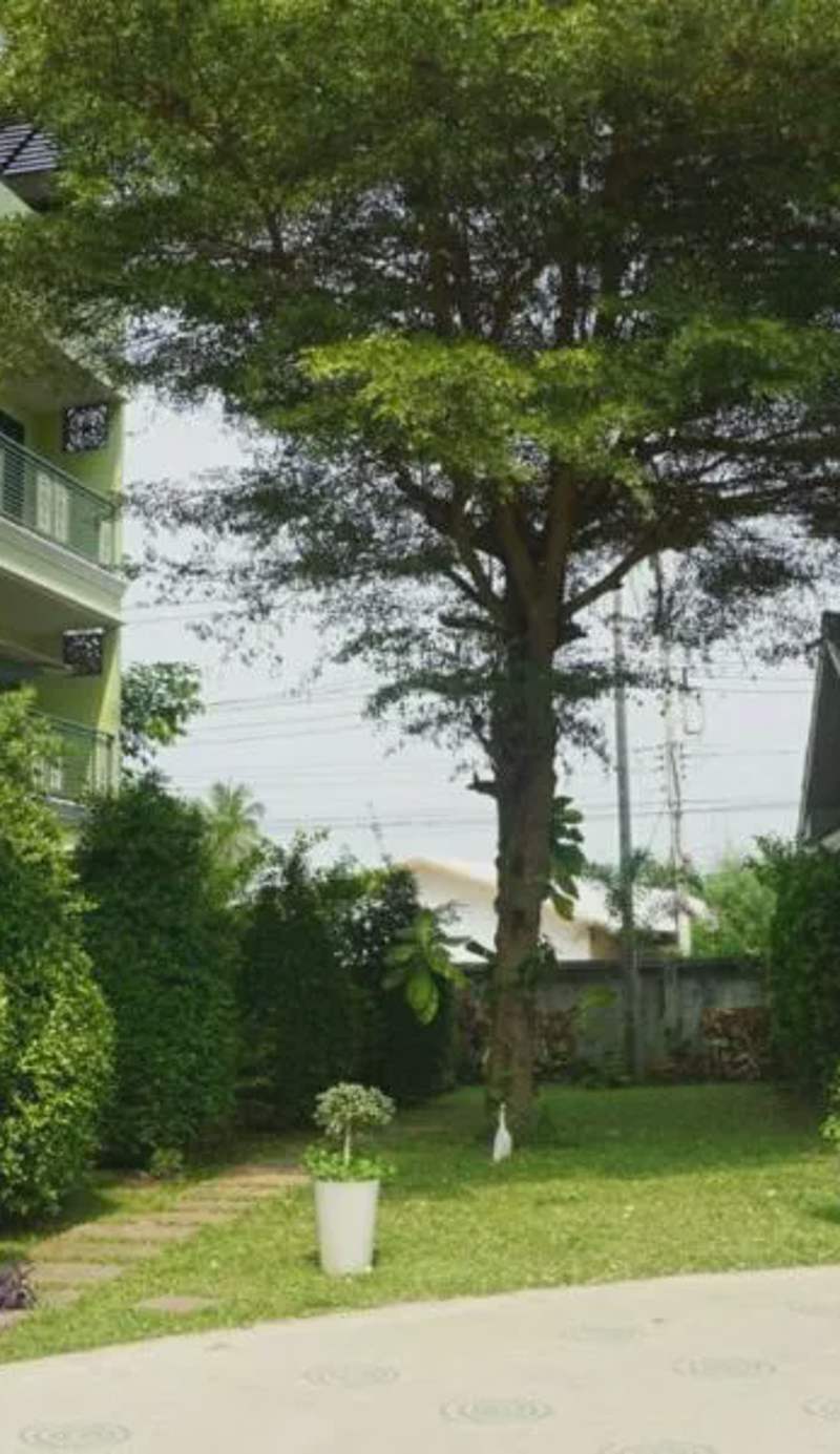 Garden Corner Resort & Hotel