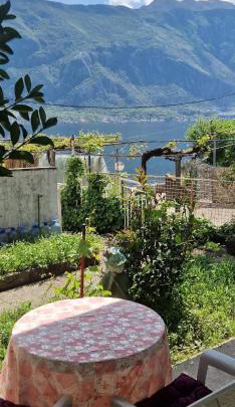 Cute studio with garden and terrace,by the sea