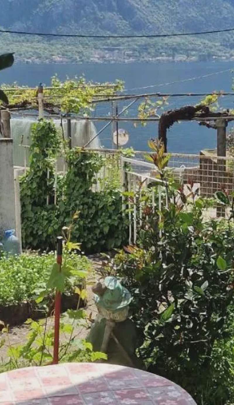 Cute studio with garden and terrace,by the sea