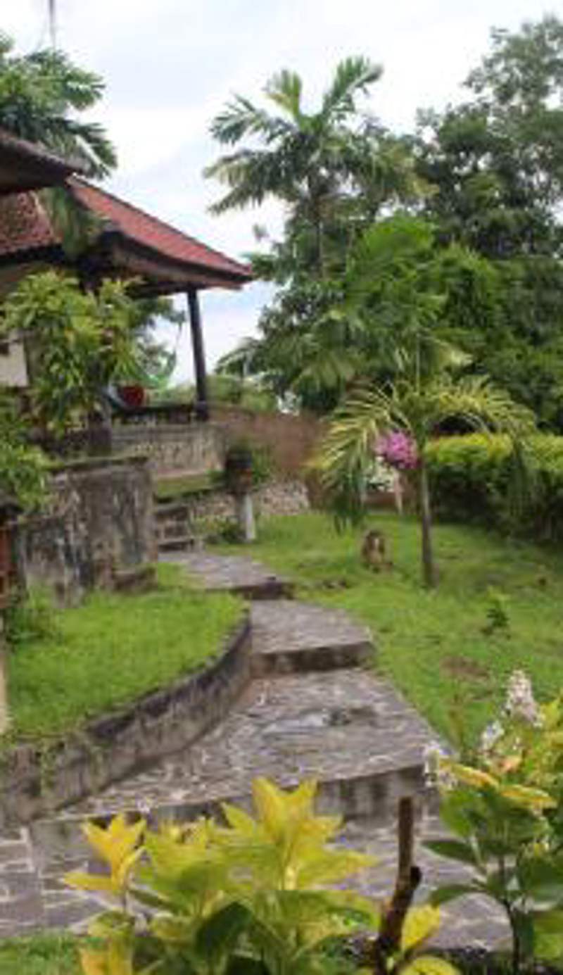 Bamboo Bali