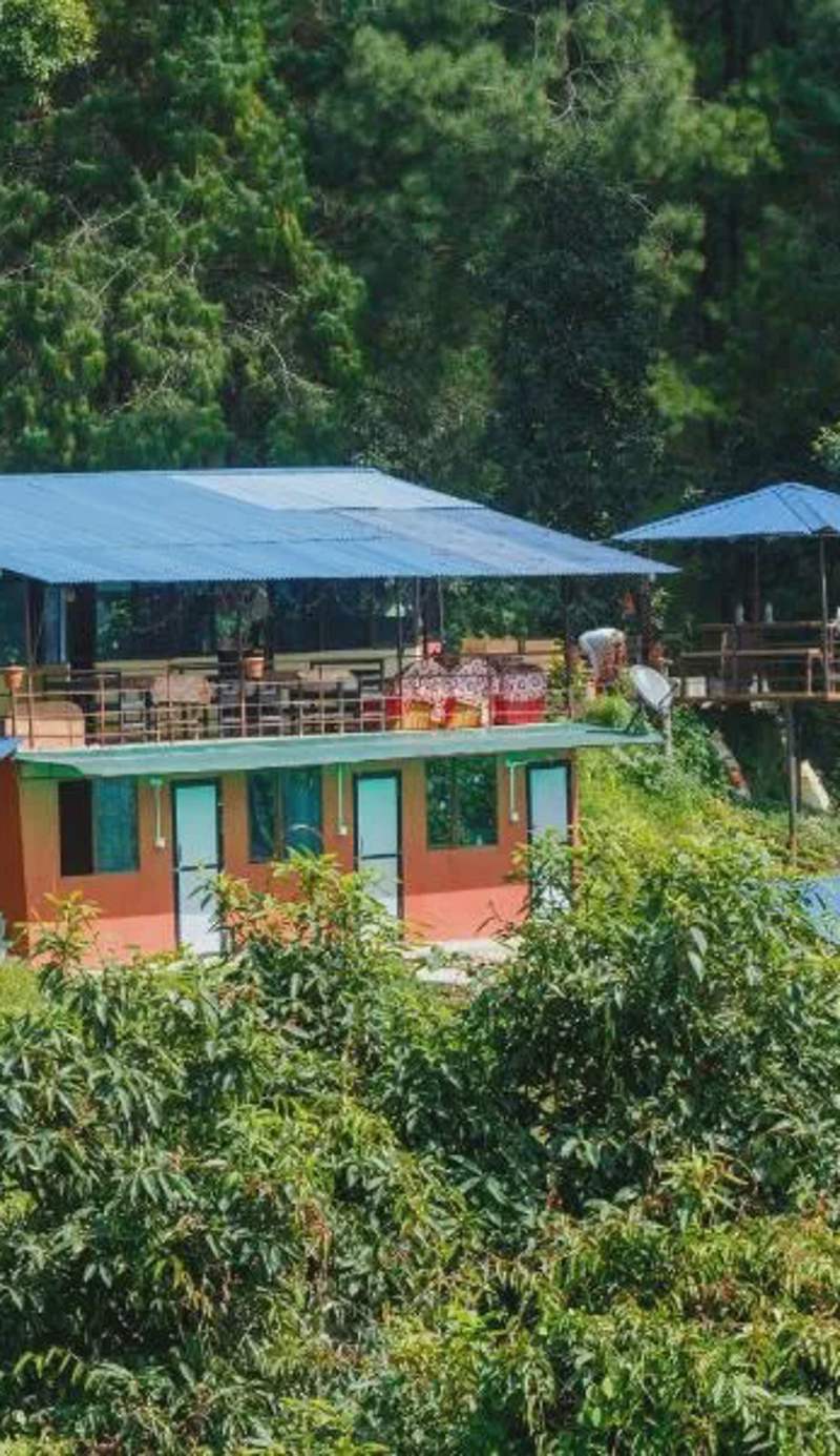 Jungle Crown Organic Homestay
