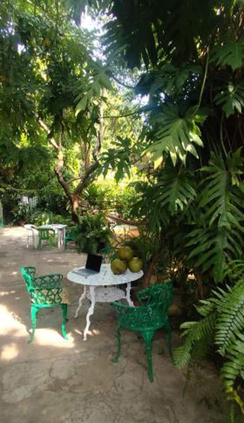 Jungle Palace hostal santaella