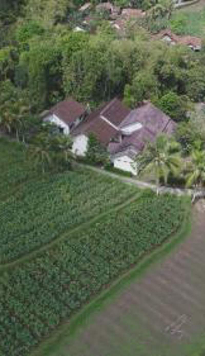Griya Harja Homestay