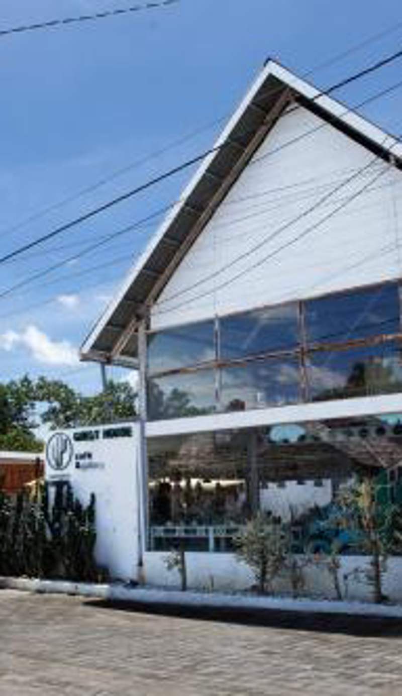 Cactus Guest House Borobudur