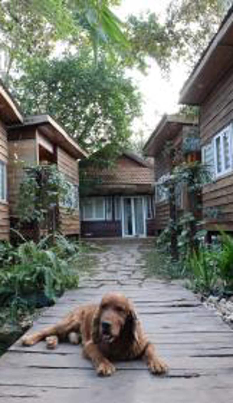 The 47 House Homestay BMT