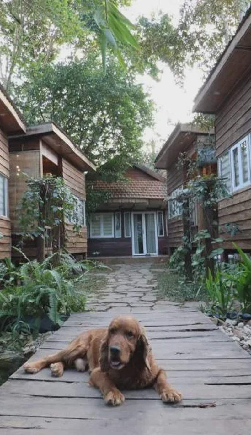 The 47 House Homestay BMT