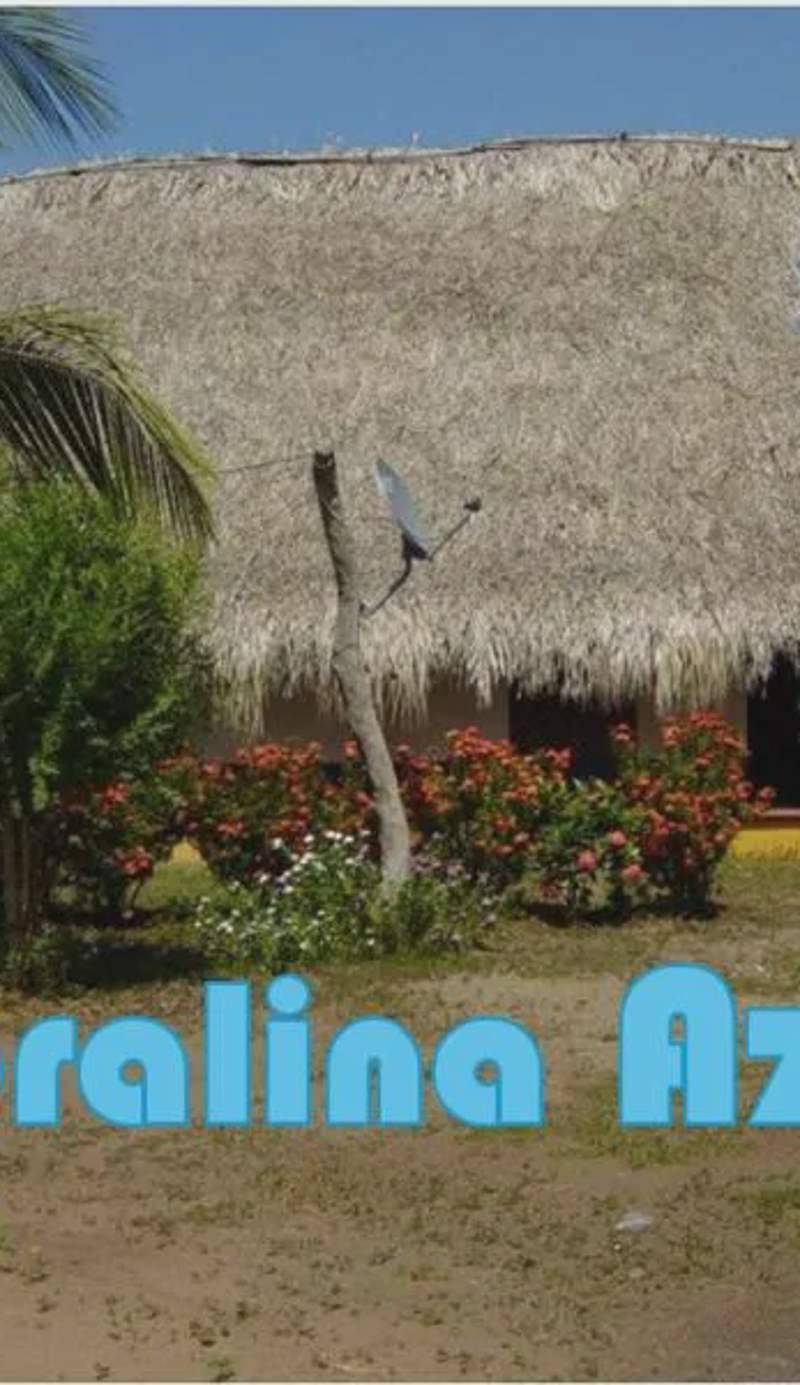 La Coralina azul