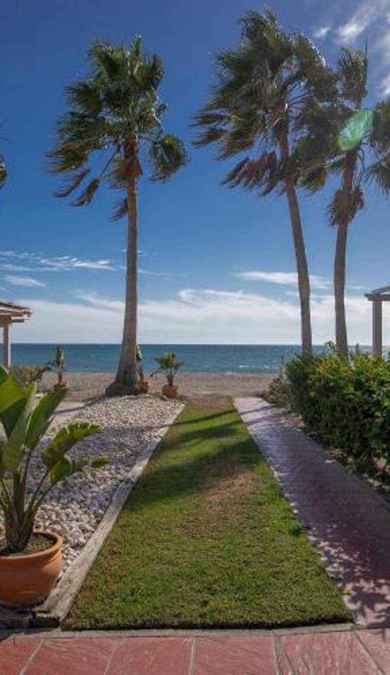 Beach Paradise, Nº5