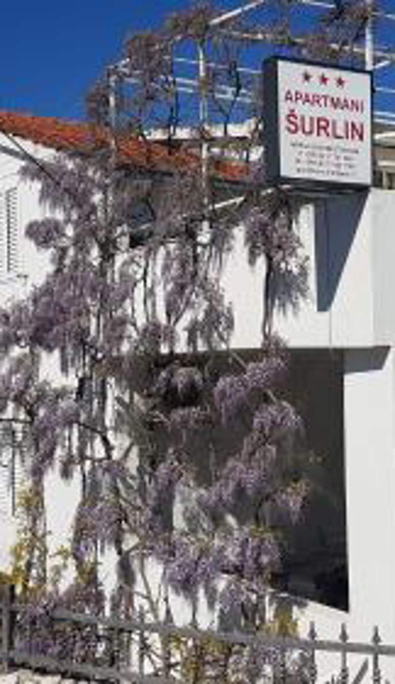 Apartmani Šurlin
