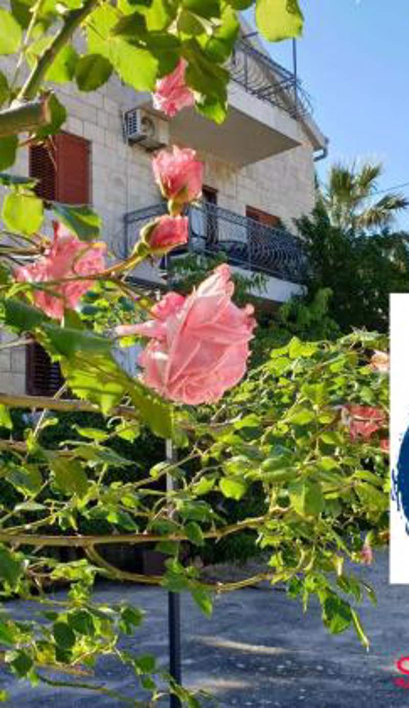 Villa Sandra Hvar