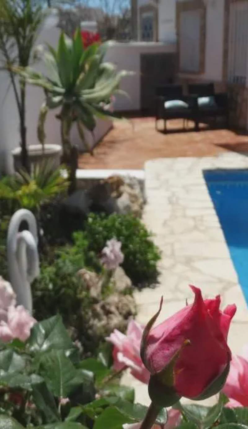 Hostal La Paloma II