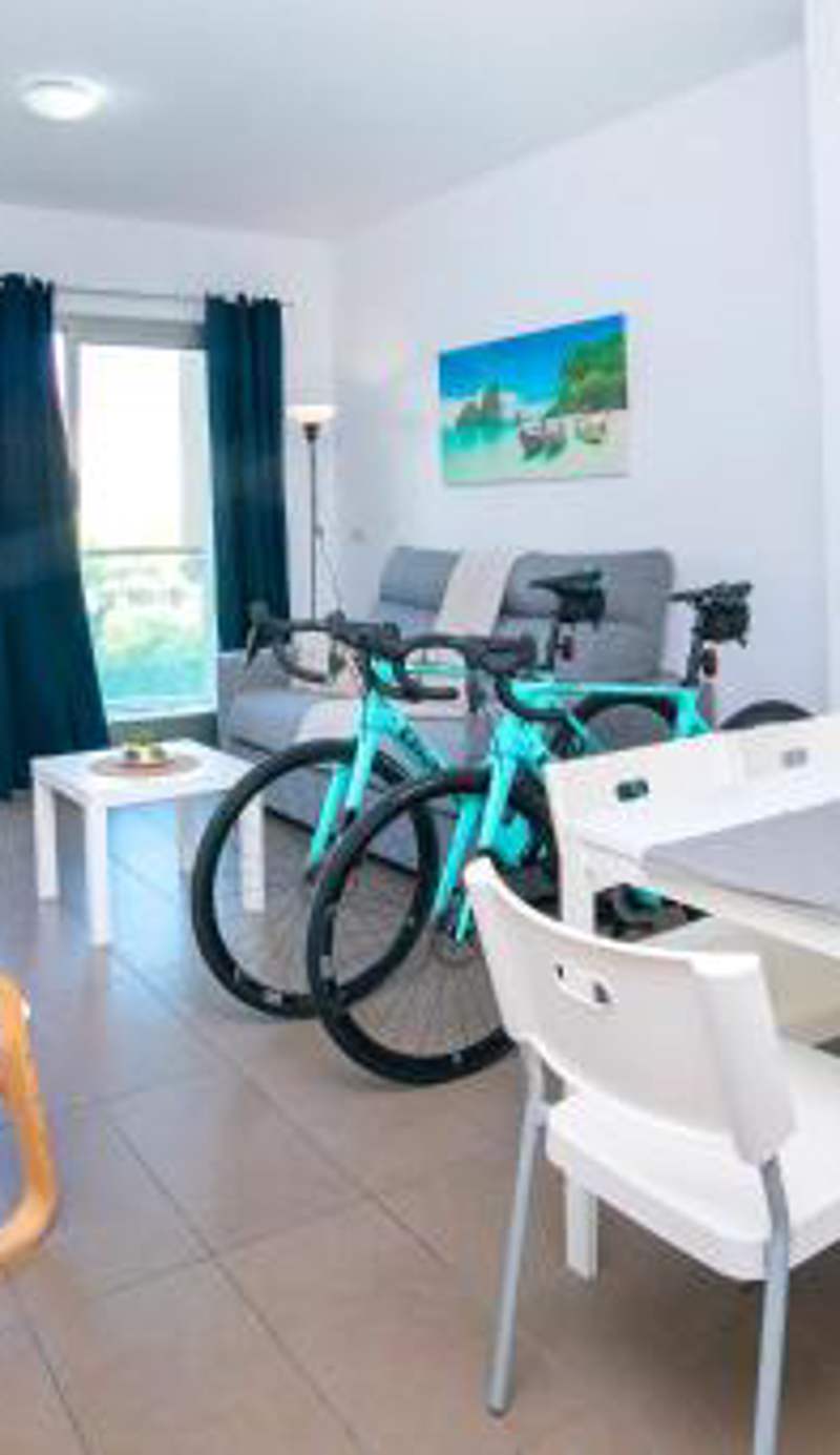 Homeincalpe Borumbot
