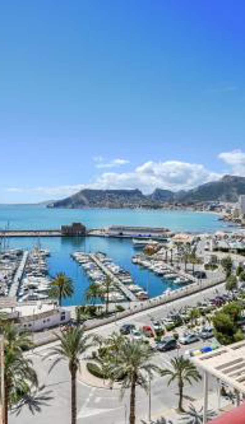 Homeincalpe Rosamarina 9C