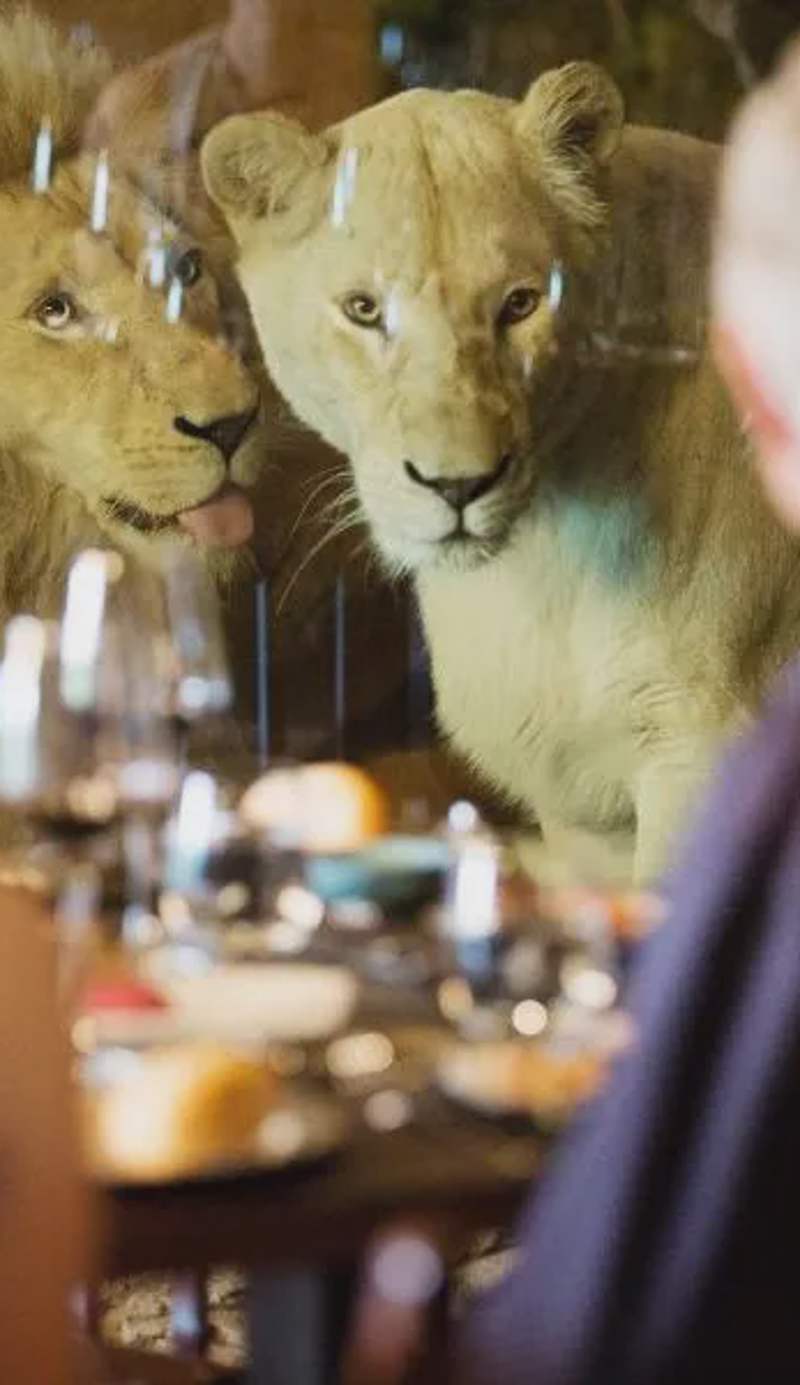 Jamala Wildlife Lodge