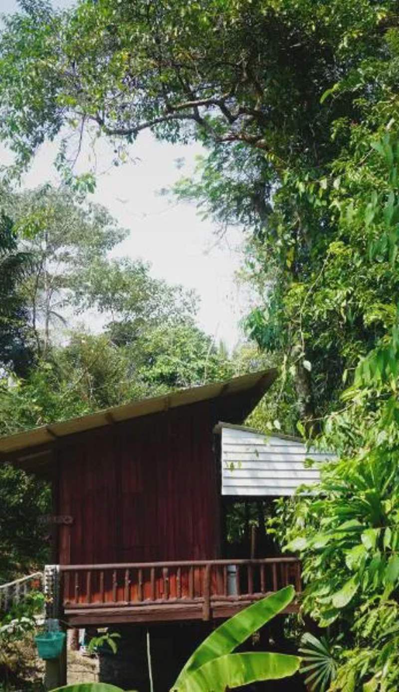 Wooden Hut Koh Kood
