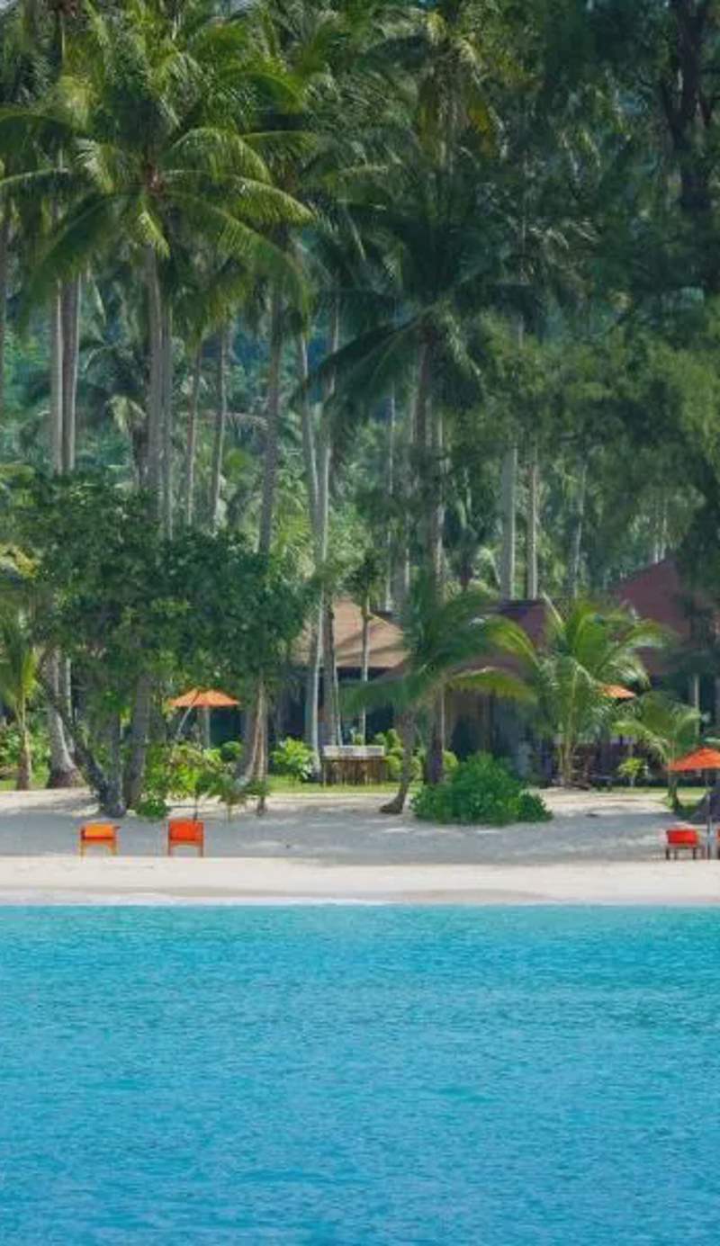 Medee Resort