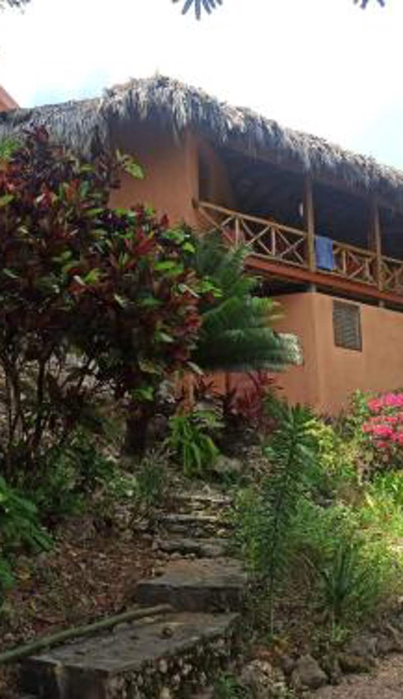 La Casa Del Arbol