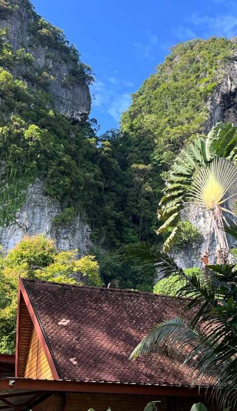 The Vatika Resort and Spa