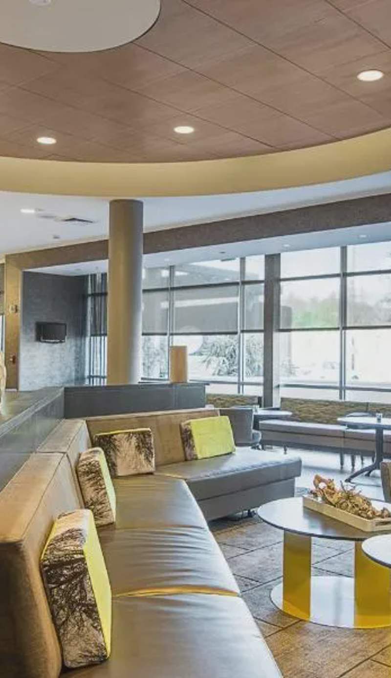 SpringHill Suites Tampa North/Tampa Palms