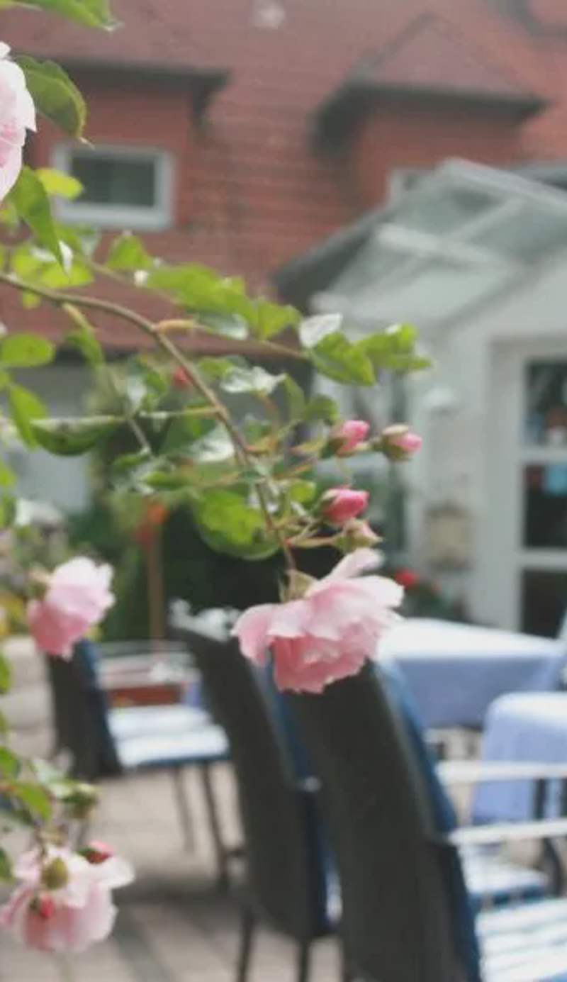 Hotel-Restaurant Fasanerie