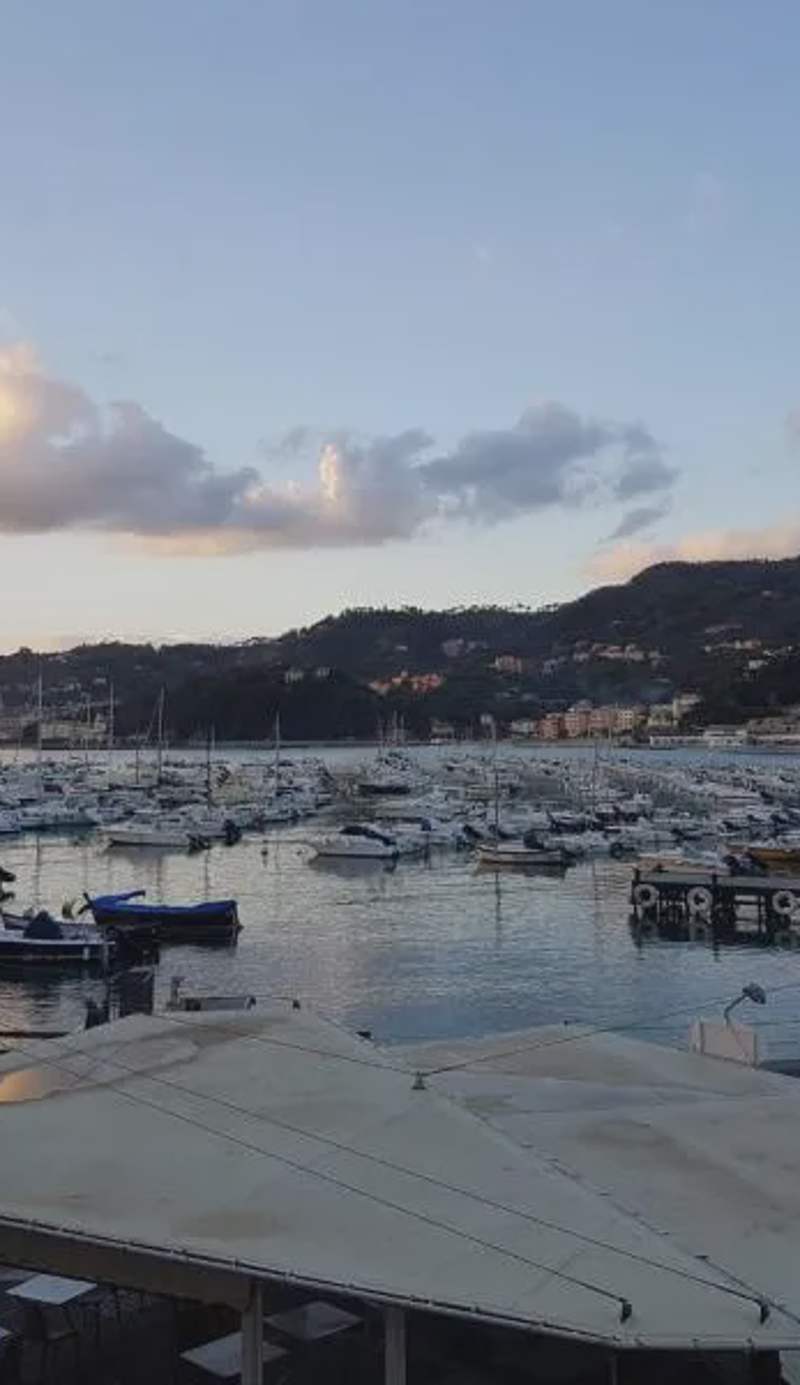 Vittoria