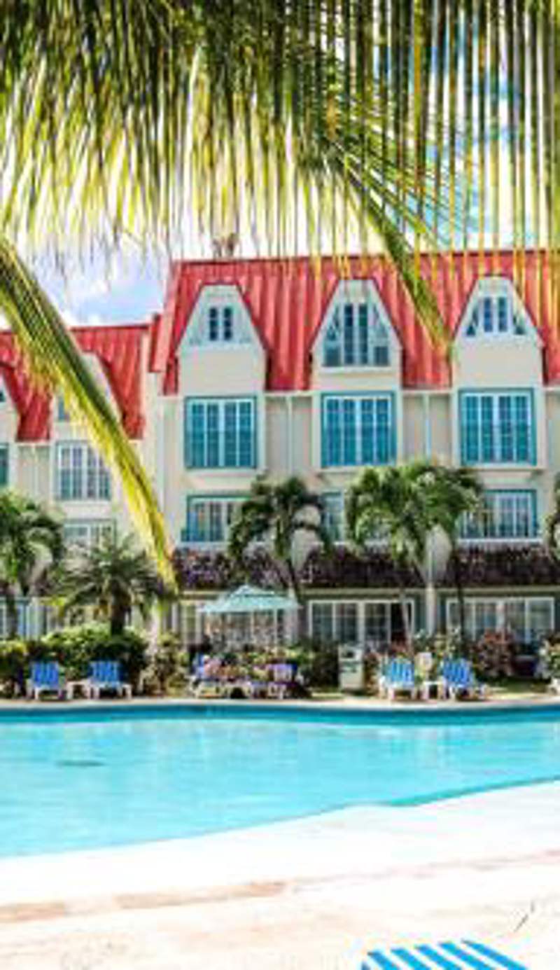 Coco Palm