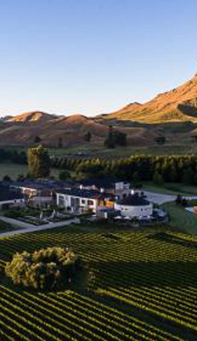 Craggy Range Luxury Vineyard Retreat