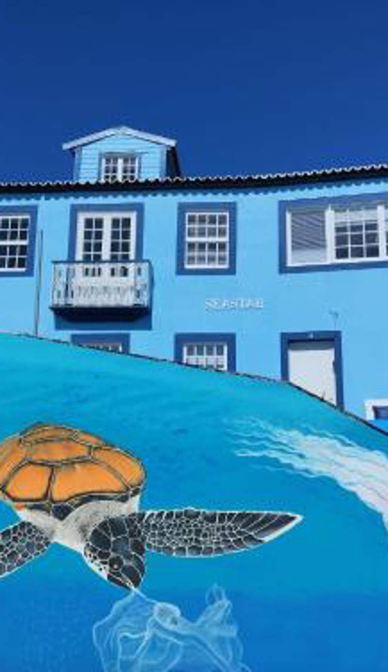 SEASTAR nº36