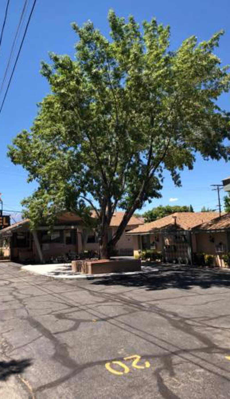 Bishop Elms Motel