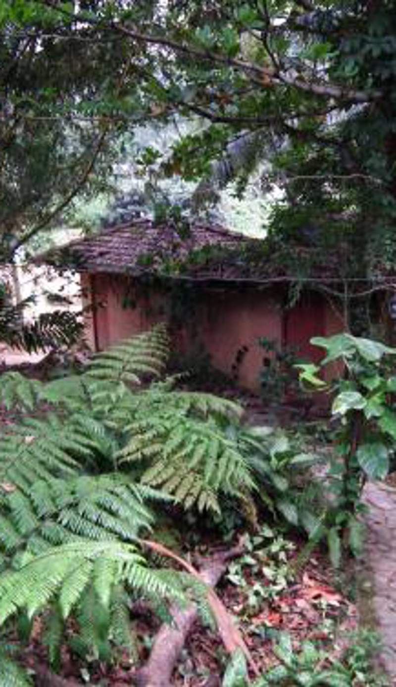 Deniyaya National backpackers hostel