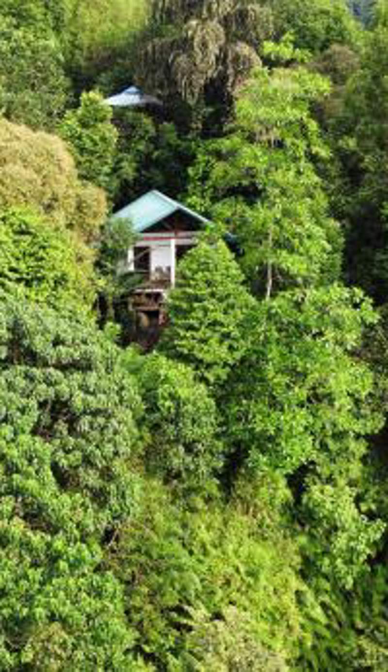 Sinharaja Rest
