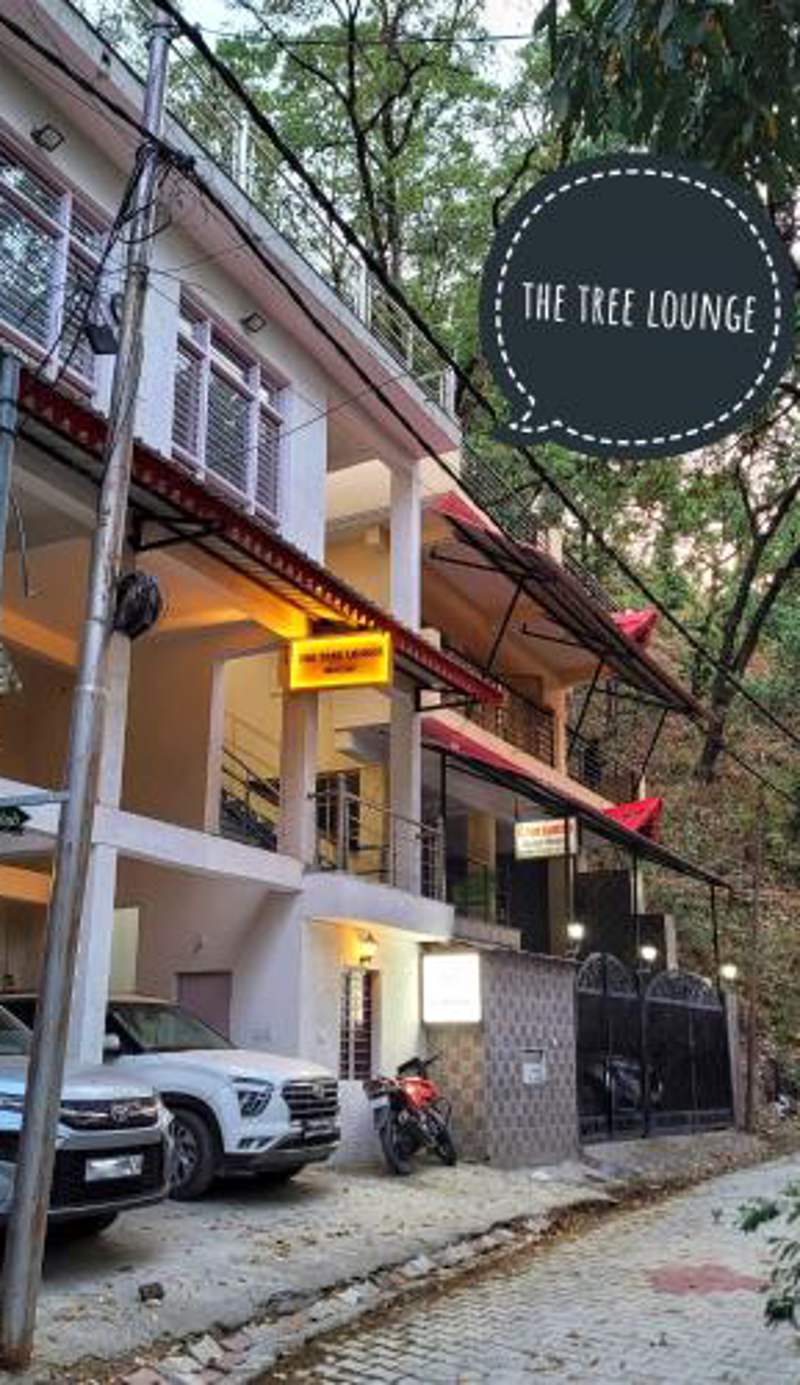 The Tree Lounge